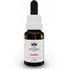 Green Remedies Australian Bush Flower Essences SUNDEW Gocce 15 ml