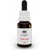 Green Remedies Australian Bush Flower Essences TURKEY BUSH Gocce 15 ml