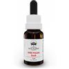 Green Remedies Australian Bush Flower Essences WILD POTATO BUSH Gocce 15 ml