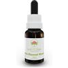 Green Remedies Australian Bush Flower Essences LITTLE FLANNEL FLOWER Gocce 15 ml