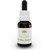 Green Remedies Australian Bush Flower Essences OLD MAN BANKSIA Gocce 15 ml