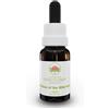 Green Remedies Australian Bush Flower Essences DOG ROSE OF THE WILD FORCES Gocce 15 ml