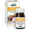 Giorgini Dr. Martino Vis Medicatrix Natu Dr. Giorgini GARCINIA CAMBOGIA ESTRATTO TITOLATO 180 Pastiglie