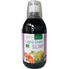 Ligne de Plantes LIGNE DREN SLIM BIO 500 ml