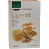Ligne de Plantes LIGNE VIT 20 Ampolle
