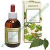 Erbamea GEMMODERIVATO RIBES NIGRUM BIO 50 ml