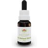 Green Remedies Australian Bush Flower Essences RED HELMET ORCHID Gocce 15 ml