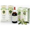 Erbamea SINERGICUM Uva Ursina 100 ml