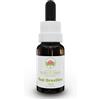 Green Remedies Australian Bush Flower Essences RED GREVILLEA Gocce 15 ml