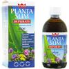 Winter Planta Slim Depuraty 500 ml