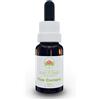 Green Remedies Australian Bush Flower Essences FIVE CORNERS Gocce 15 ml