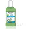 Zuccari Colluttorio d'Aloe 250 ml