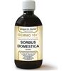 Giorgini Dr. Martino Vis Medicatrix Natu Dr. Giorgini GEMMO 10+ Sorbo 500 ml liquido analcoolico