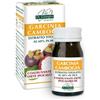 Giorgini Dr. Martino Vis Medicatrix Natu Dr. Giorgini GARCINIA CAMBOGIA ESTRATTO TITOLATO 60 Pastiglie