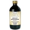 Giorgini Dr. Martino Vis Medicatrix Natu Dr. Giorgini GEMMO 10+ Ippocastano liquido analcoolico 500 ml