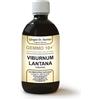 Giorgini Dr. Martino Vis Medicatrix Natu Dr. Giorgini GEMMO 10+ Viburno 500 ml liquido analcoolico