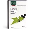 Ligne de Plantes RIBES NERO BIO 20 Ampolle