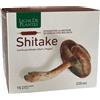 Ligne de Plantes SHITAKE BIO 15 Ampolle