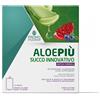 PromoPharma Promo Pharma ALOE PIU' Antiox Formula 10 pouch
