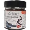 Gianluca Mech Tisanoreica - Crema Spalmabile al Cioccolato Fondente alla nocciola 200 gr