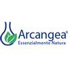 Arcangea Macerato Glicerinato di Gemme di RIBES NERO BIO (Ribes nigrum) 50 ml