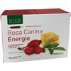 Ligne de Plantes ROSA CANINA ENERGIE BIO 10 ampolle
