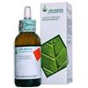 Arcangea GEMMODERIVATO CIRCULATUM DI MIRTILLO ROSSO (Vaccinium vitis idaea) 50 ml