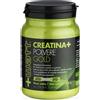 +Watt Creatina+ polvere gold 350 gr