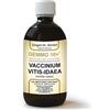 Giorgini Dr. Martino Vis Medicatrix Natu Dr. Giorgini GEMMO 10+ Mirtillo Rosso 500 ml liquido analcoolico