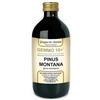 Giorgini Dr. Martino Vis Medicatrix Natu Dr. Giorgini GEMMO 10+ Pino Montano 500 ml liquido analcoolico