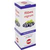KOS Laboratorio Dietetico Erboristico KOS Ribes Nigrum M.G. 100 ml