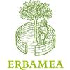 Erbamea Erbe Officinali HENNE' ROSSO RINFORZATO MOGANO Tonalità 3 100 g