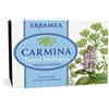 Erbamea Carmina Tisana biologica 20 filtri