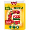 Winter Vitamina C Plus 1000 Rosa Canina + Acerola 30 Compresse Masticabili