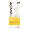 Pranarom Olio di Arnica BIO 50 ml
