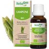 Pranarom HERBALGEM GEMMODERIVATO DI LAMPONE (Rubus idaeus surc. rec.) 30 ml