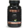 PromoPharma Botanical Mix CoQ10 30 Capsule Vegetali