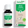 Pranarom HERBALGEM GEMMODERIVATO DI ROSA CANINA 30 ml