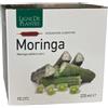 Ligne de Plantes MORINGA 15 Ampolle