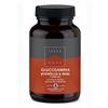 Terranova GLUCOSAMINA, BOSWELLIA e MSM Complex 50 Capsule