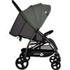 Baciuzzi BX 22 - Passeggino Leggero Compatto Pieghevole 0- 4 Anni 0-22 Kg completo di Cappotta, Cestino Porta Oggetti e Corrimano colore Felce