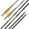PHILOCS 12 Pezzi ID 6,2 mm Frecce da Caccia, Spine 300 350 400 500 600 700 800 Freccia di Tiro con L'Arco, 4 Pollici Piuma di Tacchino Freccia in Puro-Carbonio (Spine 600, 31inch)