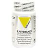 Vit'all+ Vital Plus Astaxantina Capsule 21 g