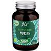 Santiveri Alga Fucus Bio Compresse 60 g