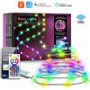 Tuya Catena di Luci Natalizie a LED RGBIC Smart WiFi e Bluetooth