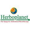 Herboplanet Vacuum Gocce 50 ml 50 ml 1 unità