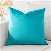 Artscope Federe Cuscini in Velluto Minimalista Copricuscino Colorato per la Decorazione Domestica Soggiorno Camera da Letto Divano 40x40cm, Turchese