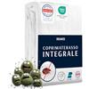 Dreamzie Coprimaterasso Matrimoniale Impermeabile 160x200x20 cm - Coprimaterasso Antiacaro Integrale con Chiusura a Zip per Allergici