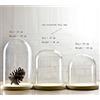 Artlass, campana in vetro dal diametro di 15 cm con vassoio in legno, Vetro, Clear, medium