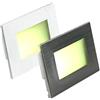 Partenopea Faretto segnapassi da esterno lampada muro parete IP65 LED CCT SWITCH 3W da incasso scatola cassetta 503 scale viale gradini (luce calda naturale fredda cornice bianca e silver)
